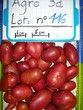 Lot 116 : Laura dép. 28 / 45+ / 450T